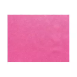 Set de table Framboise Spunbond 30x40cm